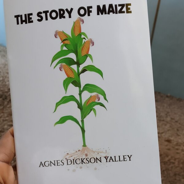 THE STORY OF MAIZE