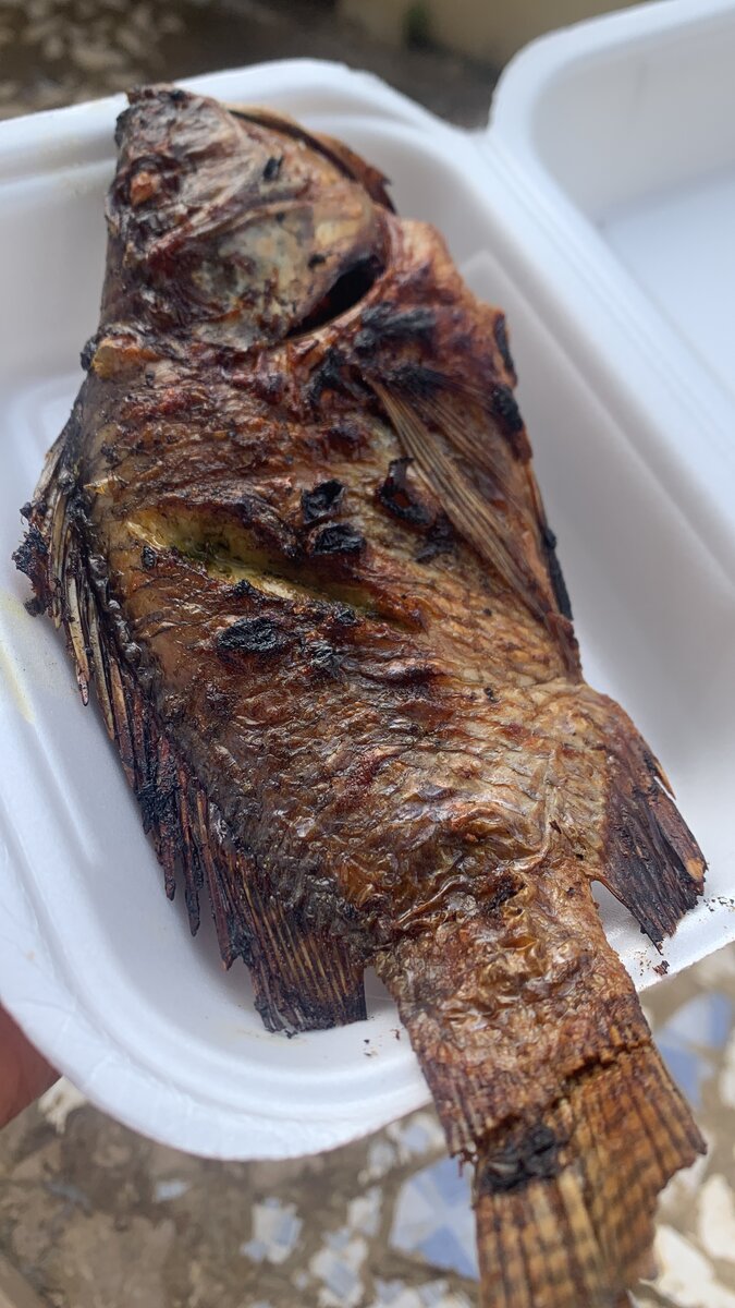 Délice de Poulet et Poisson