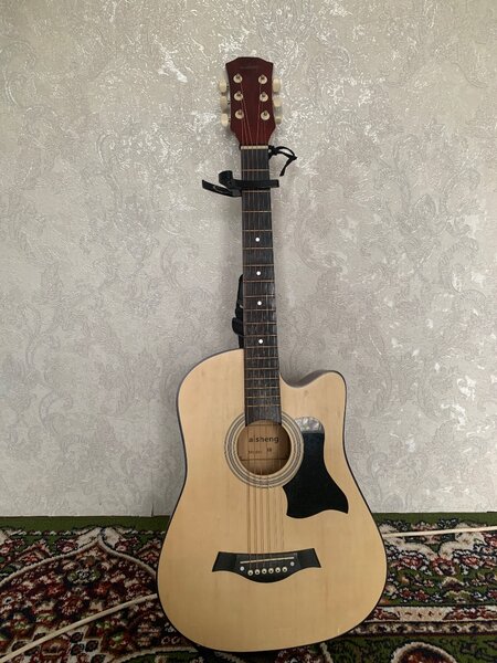 Акустика гитара