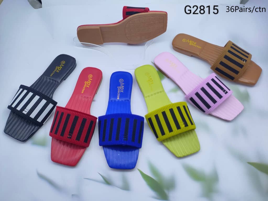 Stylish ladies slippers