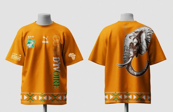 Ivory Coast Elephant T-Shirt