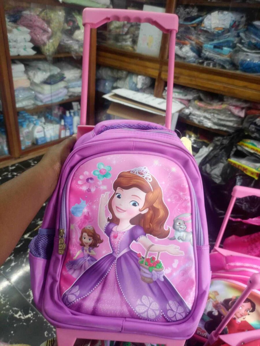 Trolley sac à roulettes