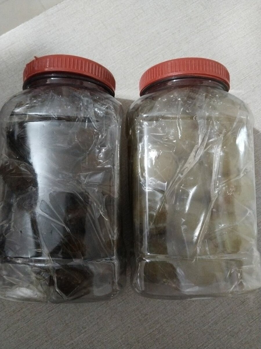 Ammla Muraba hareed Muraba