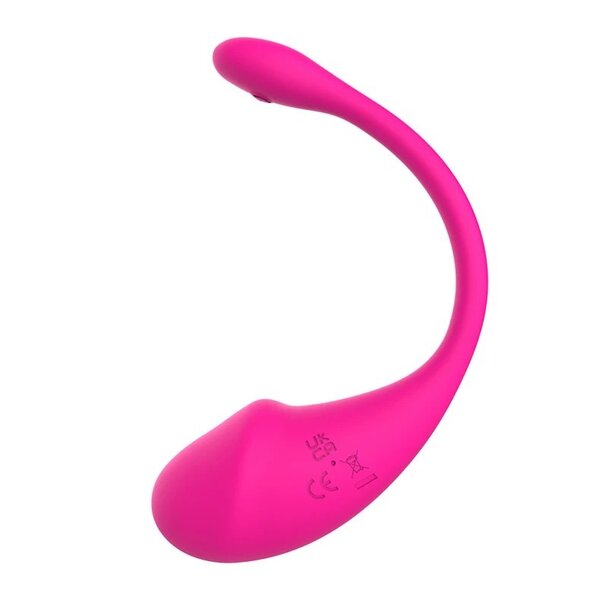 Remote/Phone control wearable vibrator