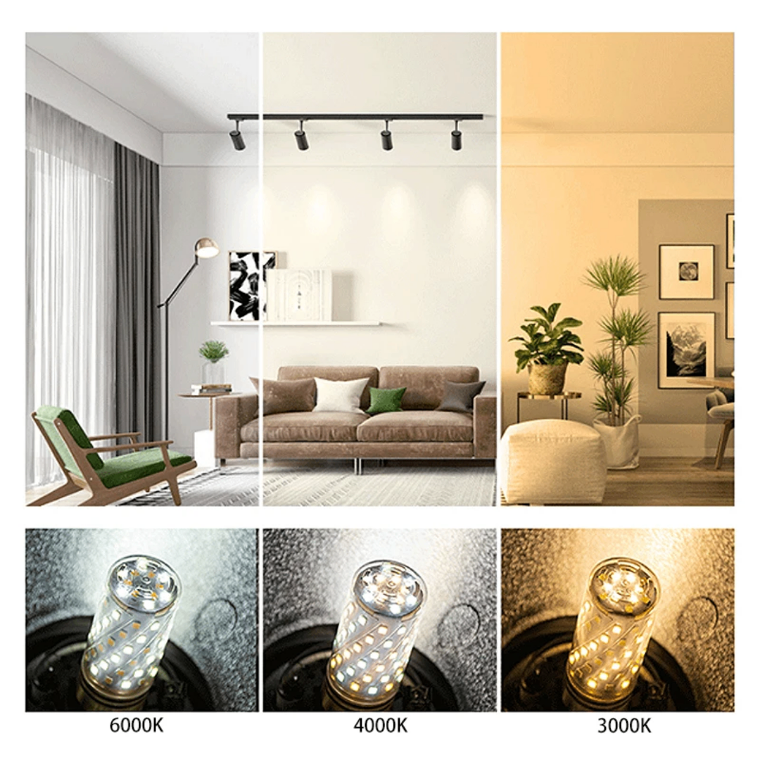 Ampoules LED Économiques