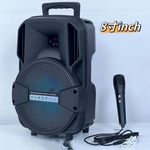 Enceinte Bluetooth 8" avec Micro