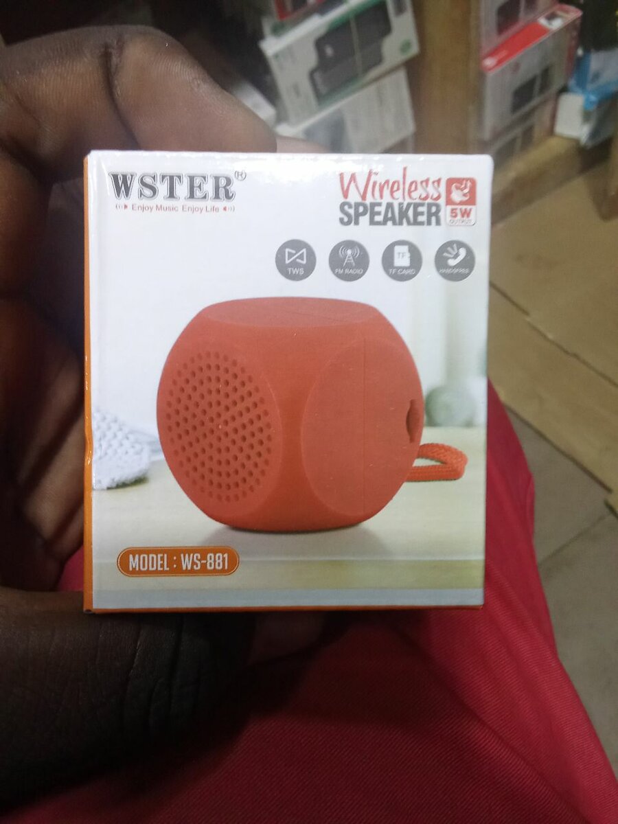 Hautparleur Sans Fil WSTER