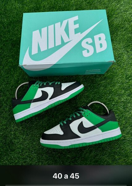 Nike SB Sneakers Skate