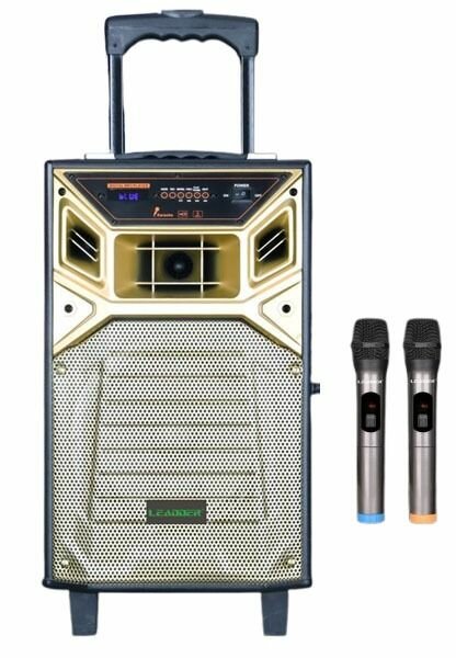 Enceinte Karaoké Portable 40W