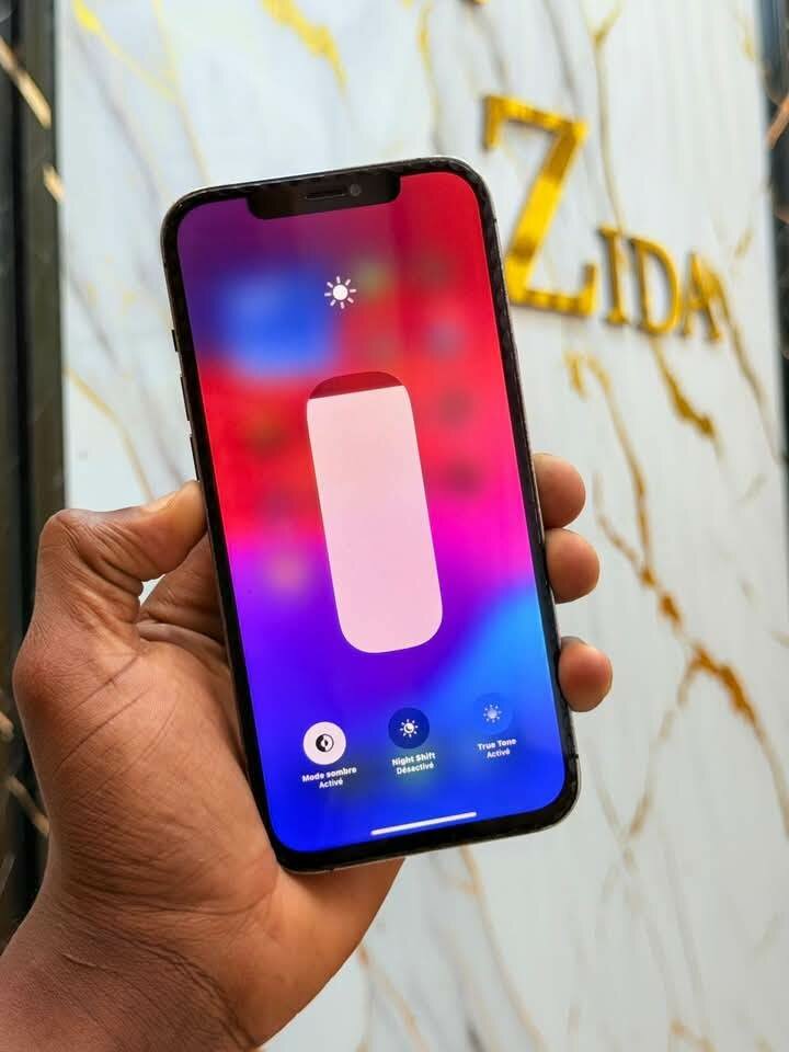 iPhone 12 Pro Max 256GB