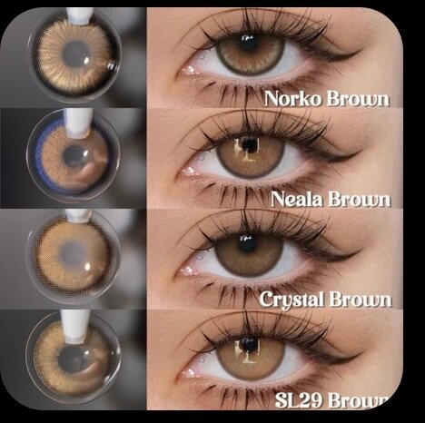 Lentilles de contact