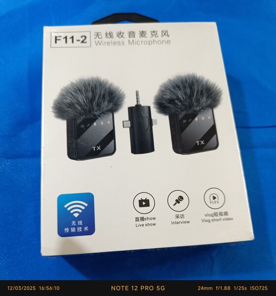 Double micro cravate professionnel