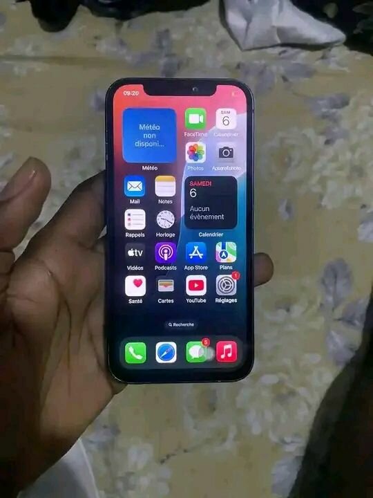 Smartphone Apple haut de gamme