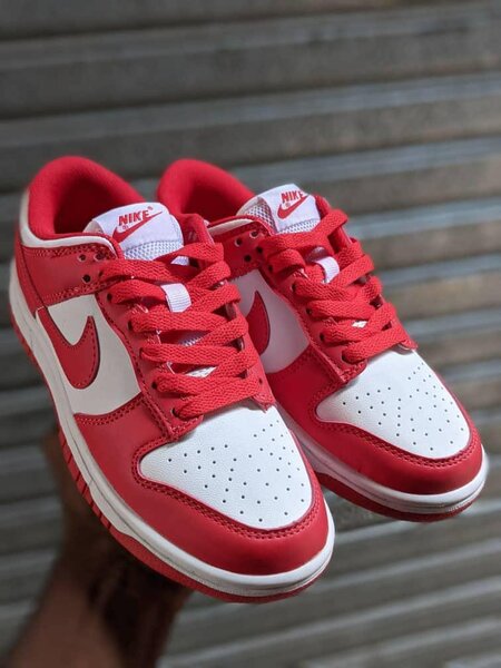 Nike SB