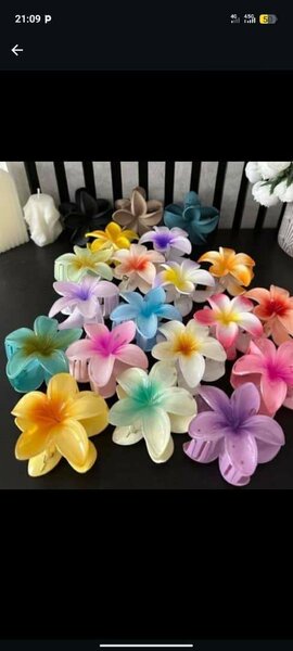 Pinces à cheveux fleurs colorées