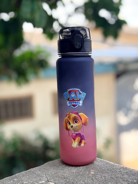 Bouteille Paw Patrol Enfant