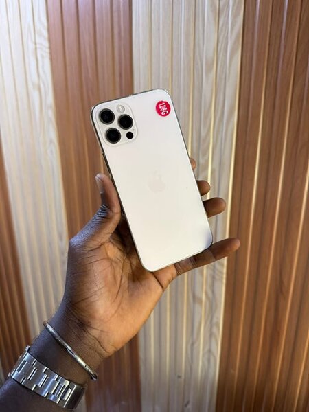 Smartphone élégant et performant