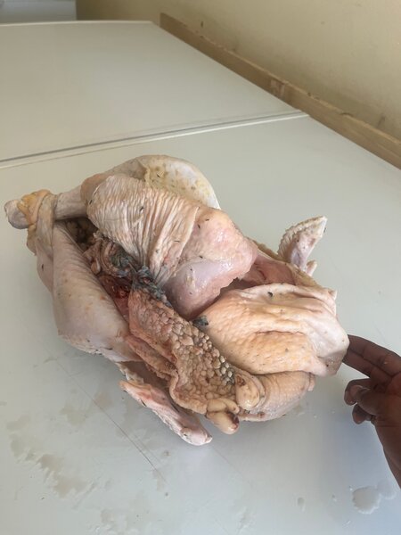 Dindon entier Africain