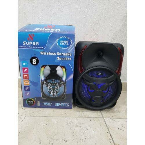 Enceinte Karaoké Sans Fil 1500W