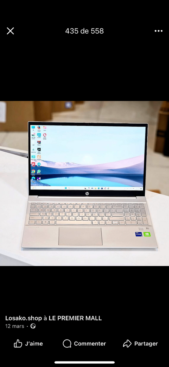 Ordinateur Portable HP Élégant