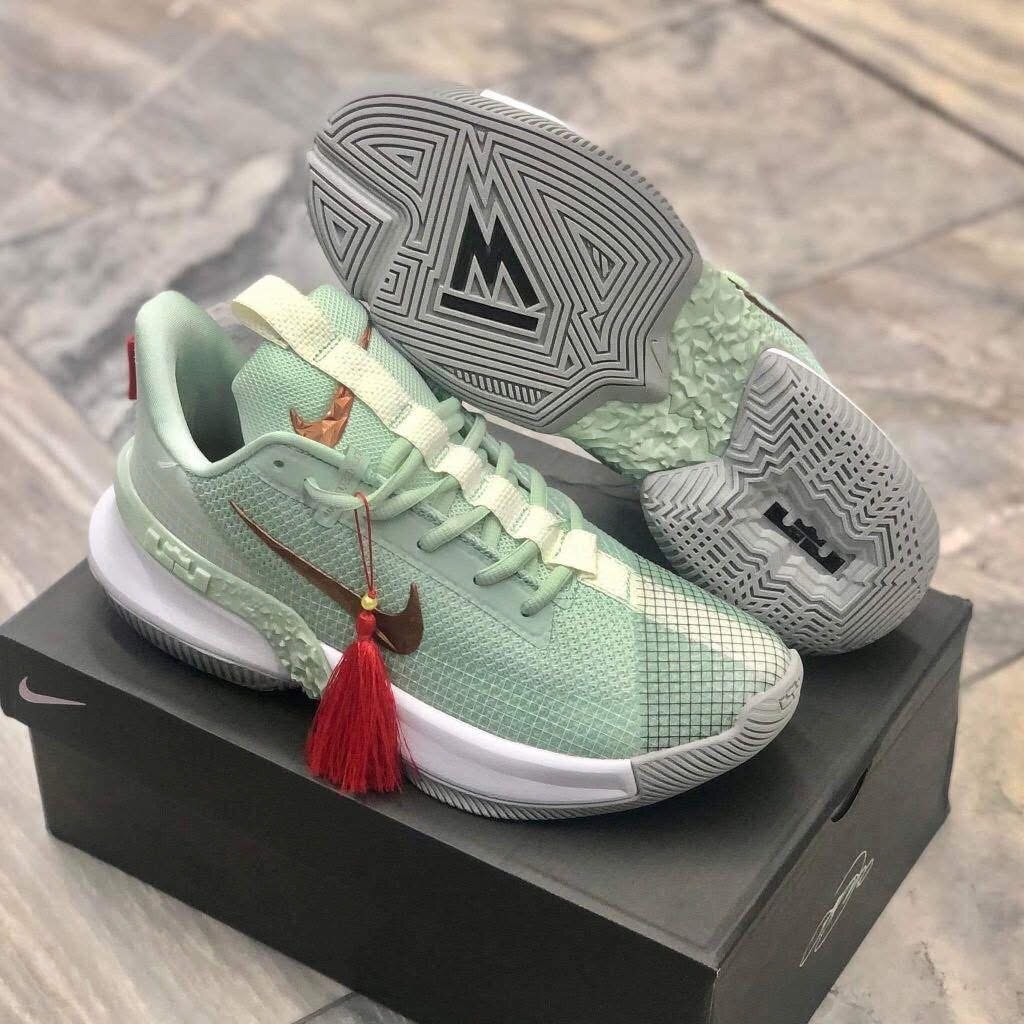 LEBRON JAMES AMBASSADOR 13