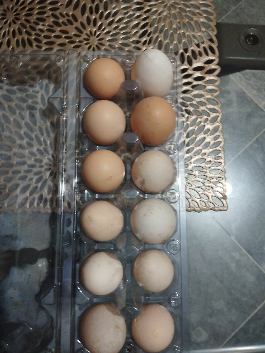Pure desi eggs