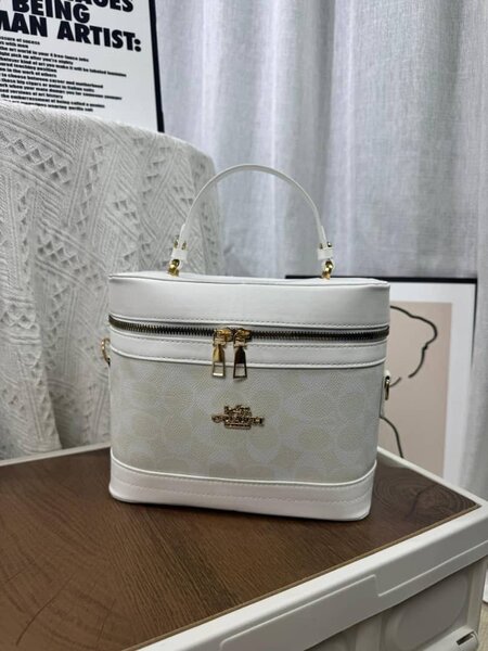 Sac à main Coach élégant