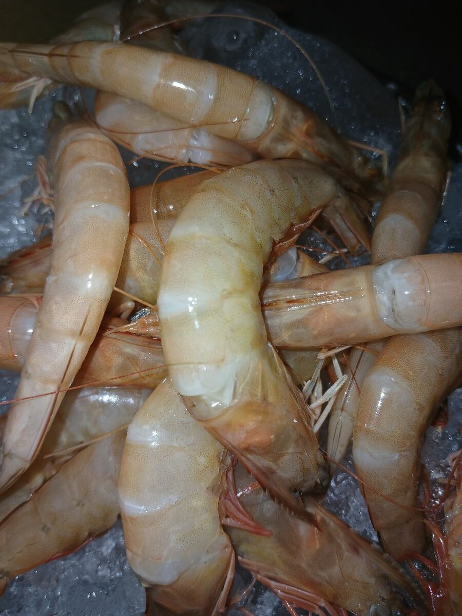 Crevettes