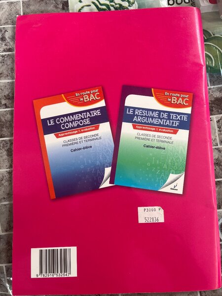 Cahier de Dissertation Littéraire Bac