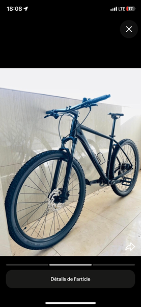 VTT de montagne robuste