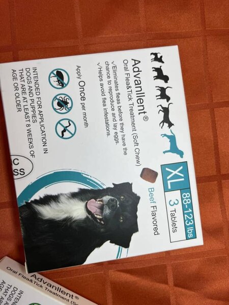 Traitement anti-puces pour chiens XL