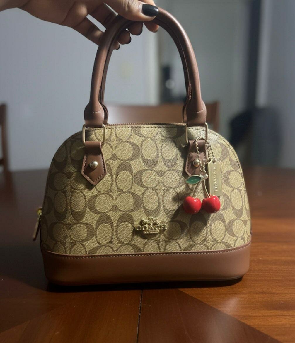 Sac à main luxe Coach