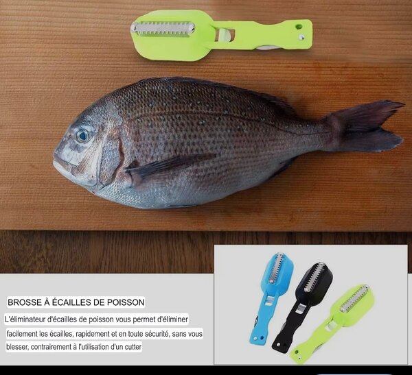 Écailleur de poisson pratique