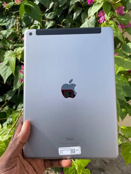 iPad 6th generation 32gb Cellular