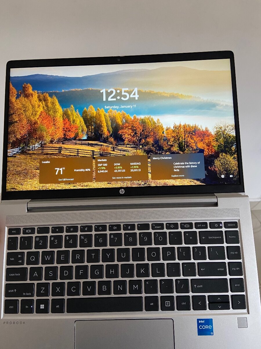 HP ProBook 440 14-inch G10 Laptop PC