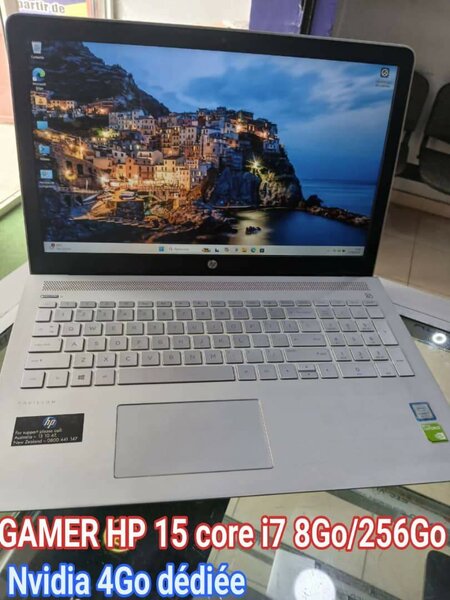 Ordinateur portable professionnel