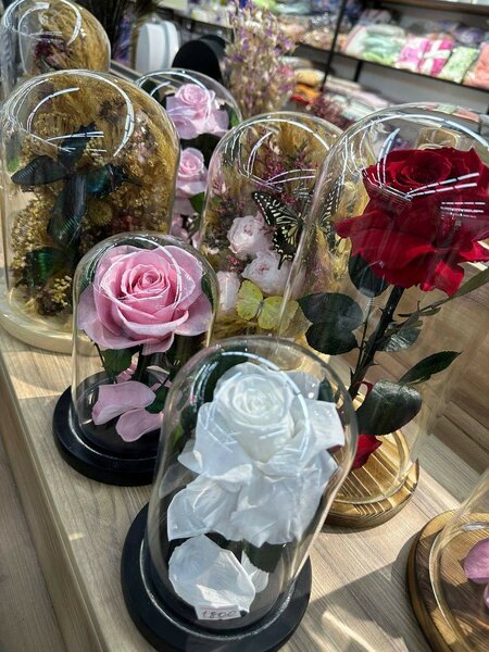 Живая роза в колбе