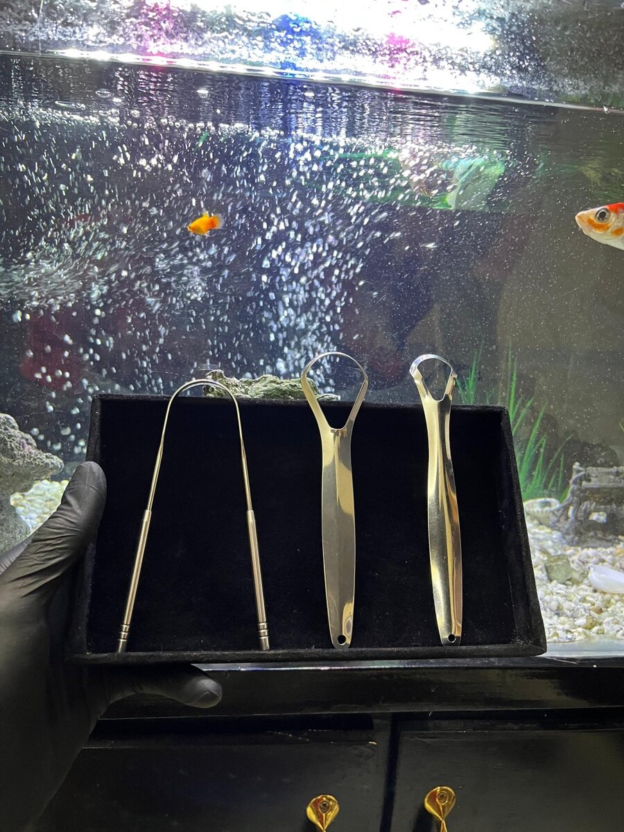 Set de grattoirs à langue en acier inoxydable