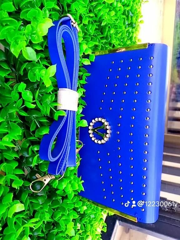 Sac à main élégant femme