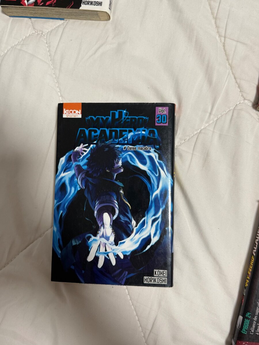 Manga My Hero Academia 30