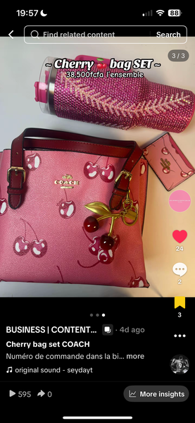 Cherry Bag Set by Coach
