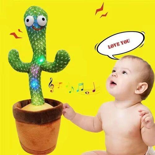 Cactus danseur musical
