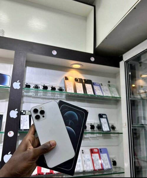 iPhone 12 Pro Max 128 Go