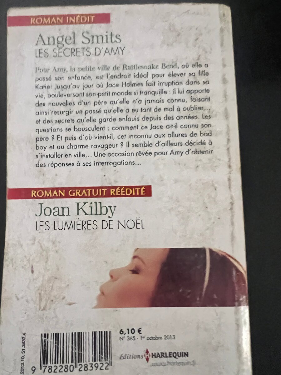 Les secrets d'Amy - Roman