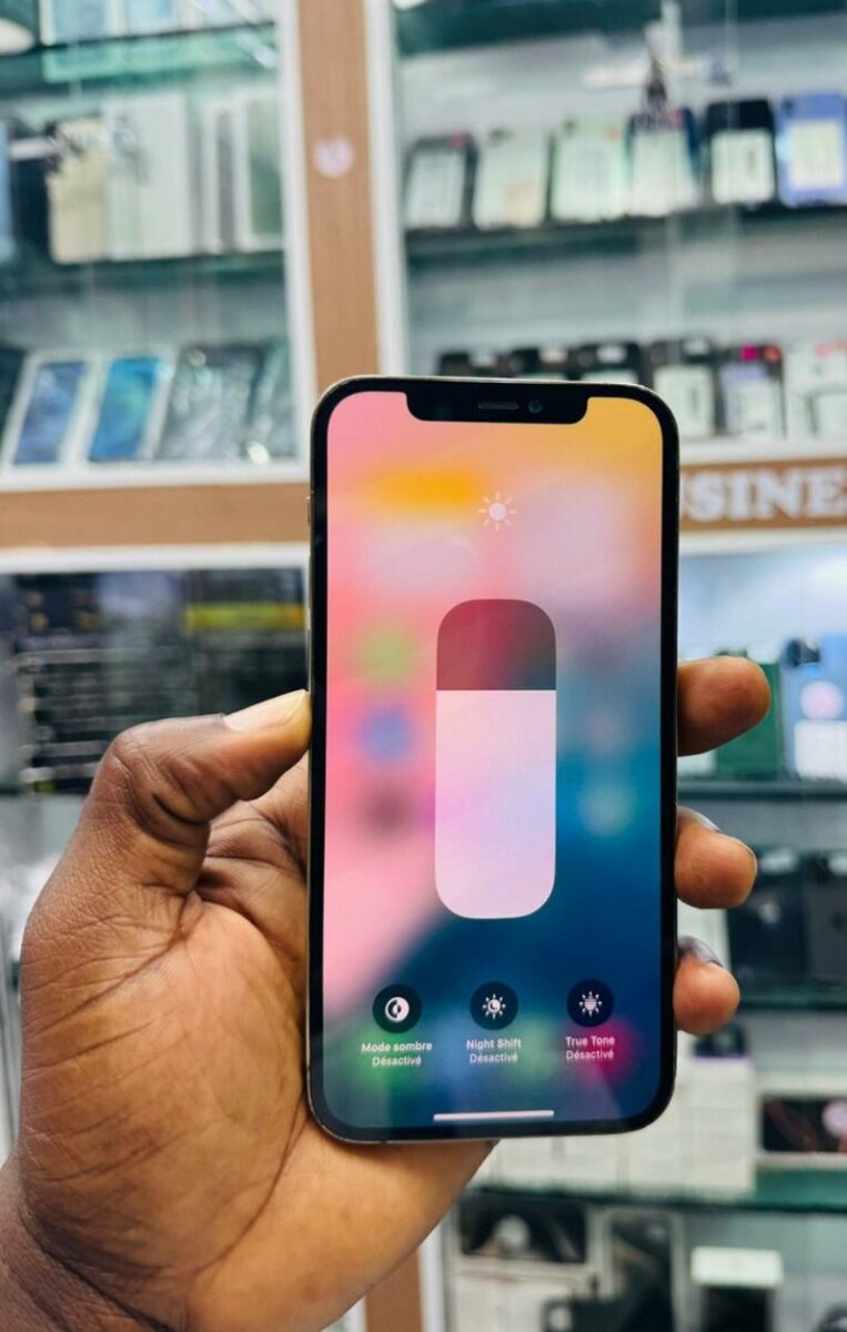 Smartphone Haut de Gamme