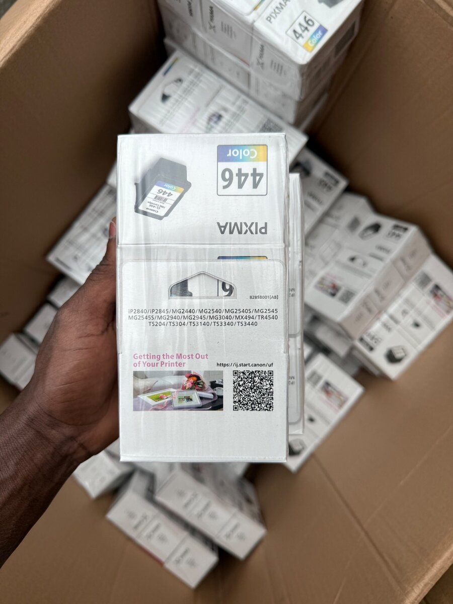 Cartouches d'encre PIXMA 446 & 445