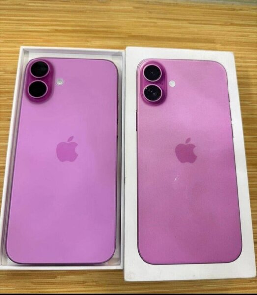 Apple Rose iPhone 16