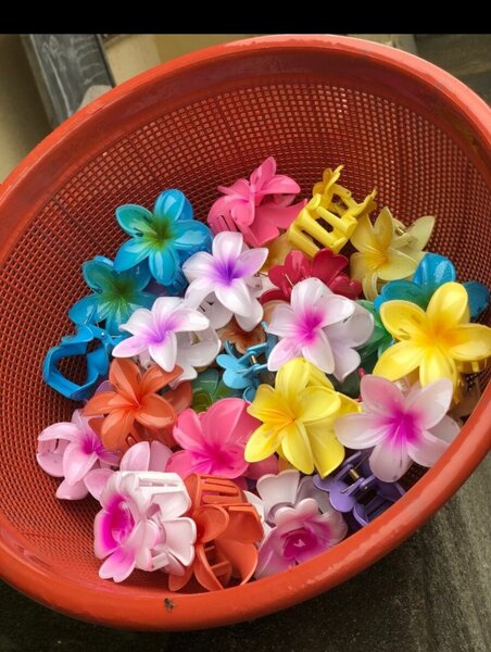 Pince à Cheveux Fleurs Colorées