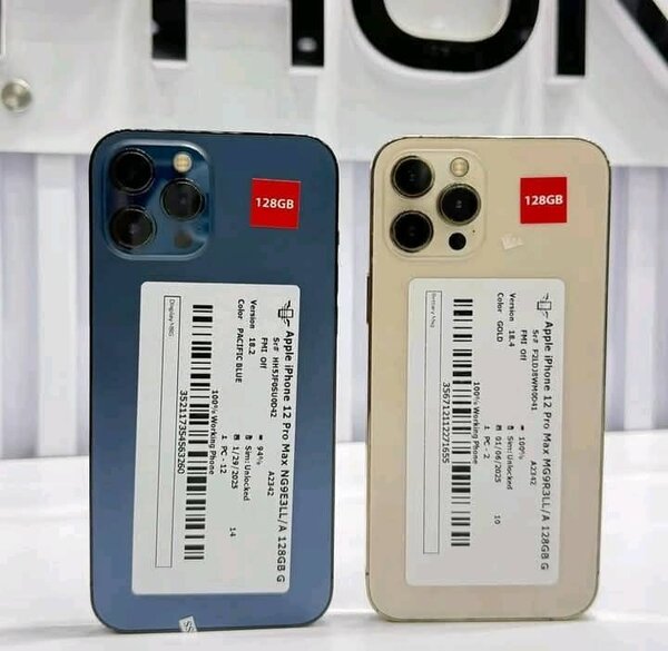 iPhone 12 Pro Max 256GB