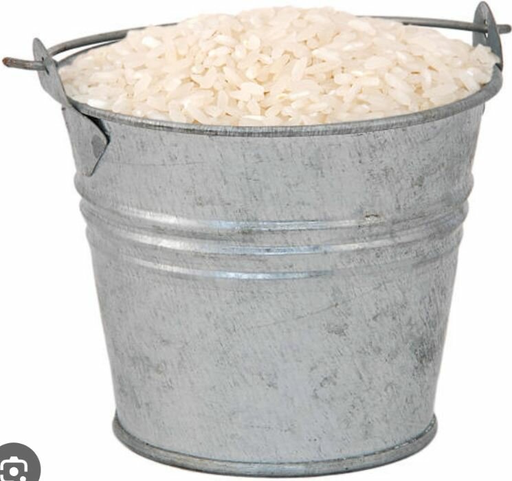 Rice